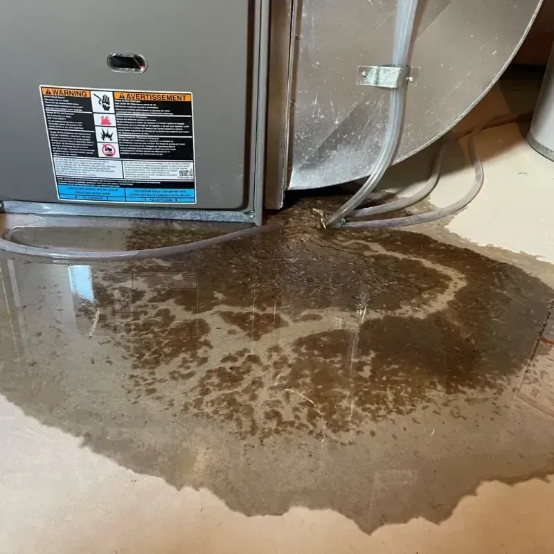 Appliance Leak Cleanup in Rehoboth, MA